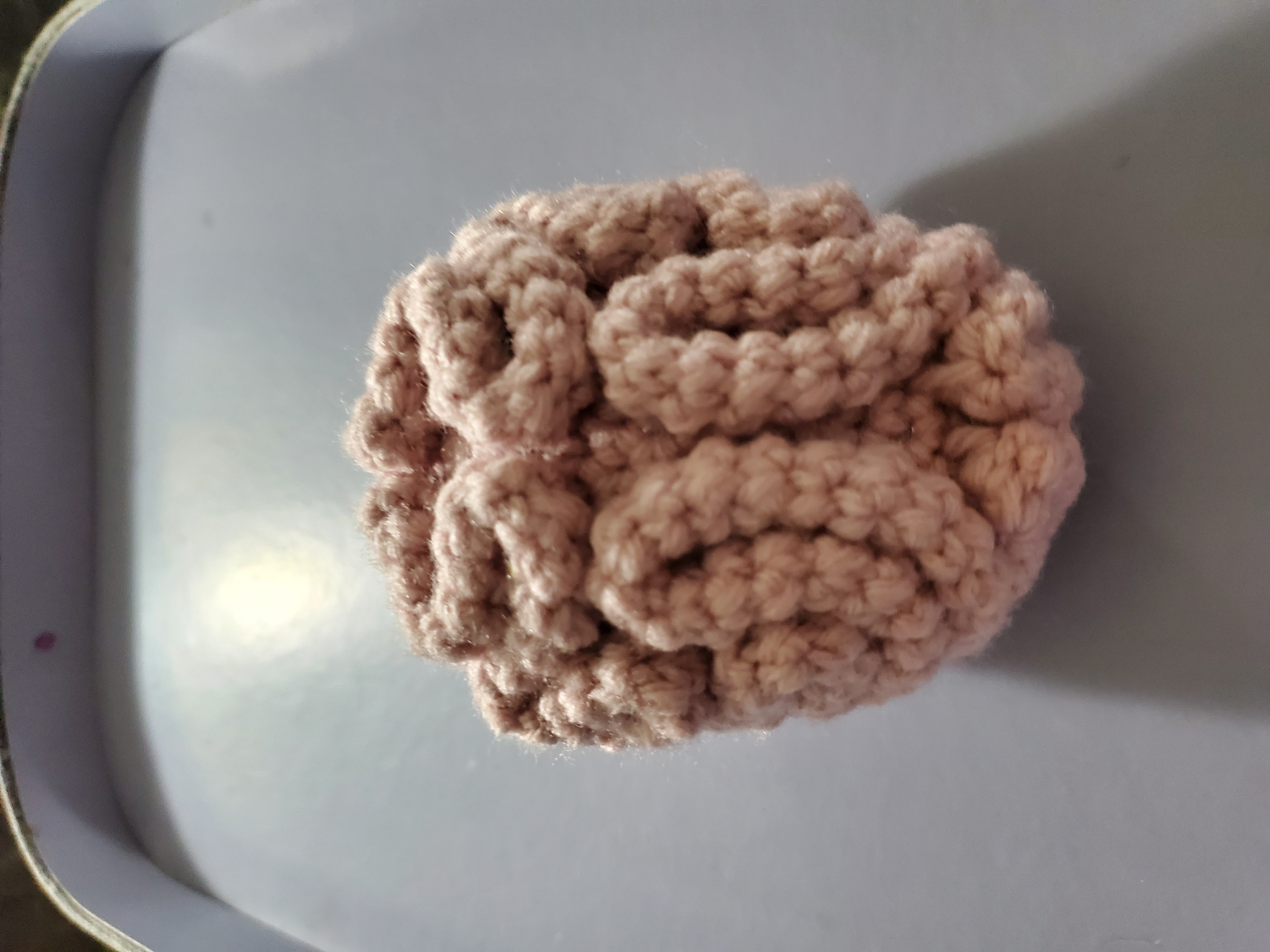 Brain